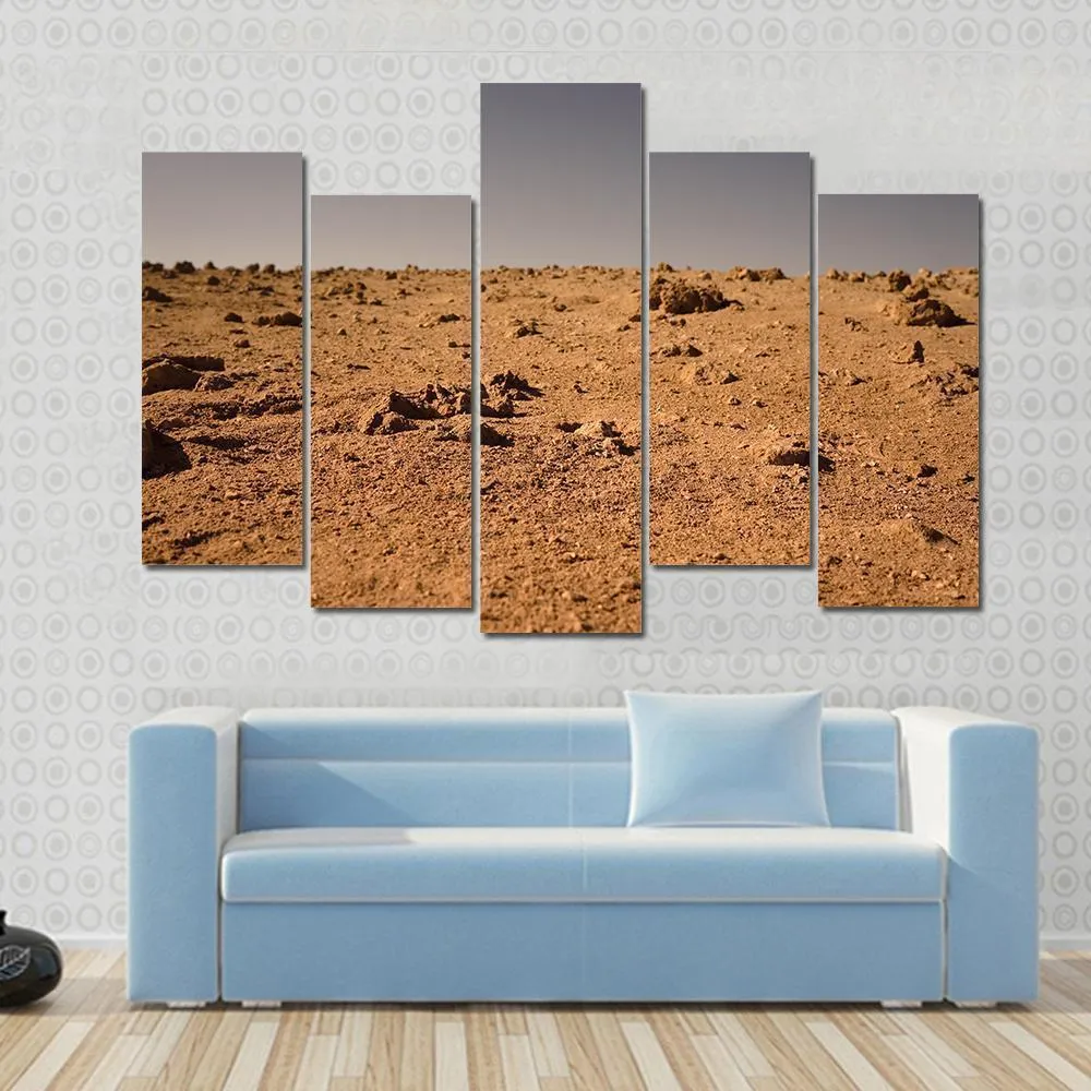 Land Of Mars Canvas Wall Art