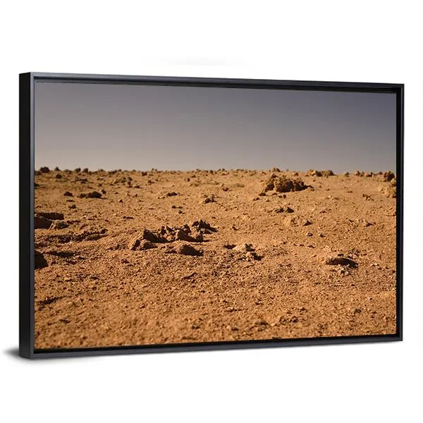 Land Of Mars Canvas Wall Art