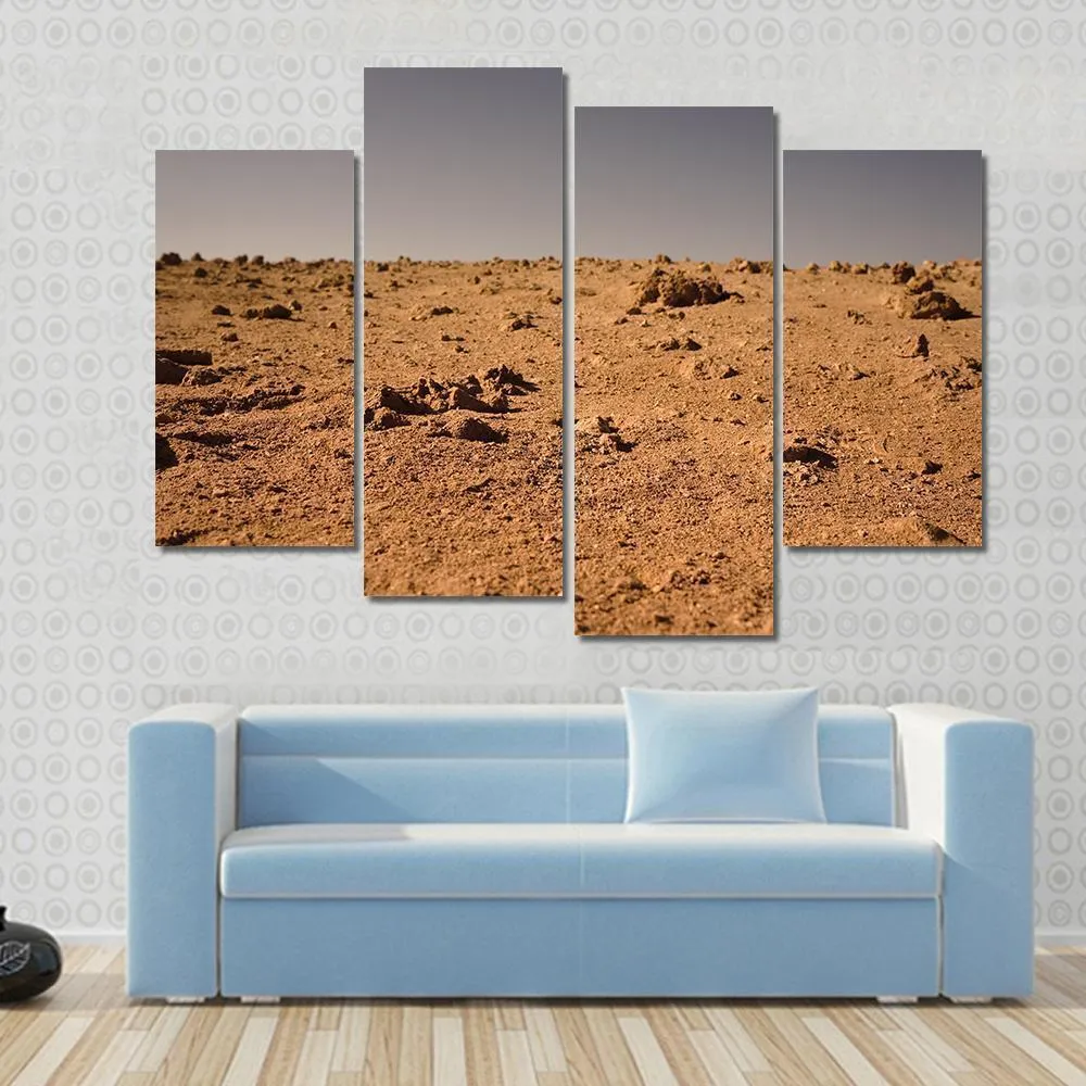 Land Of Mars Canvas Wall Art