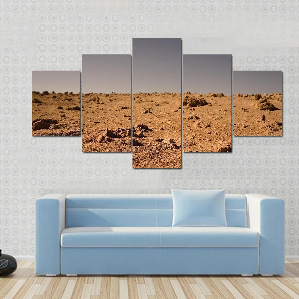 Land Of Mars Canvas Wall Art