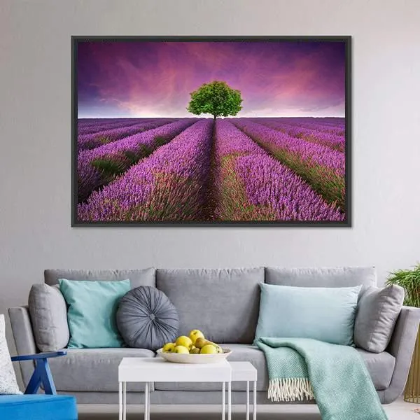 Lavender Field In Summer Canvas Wall Art