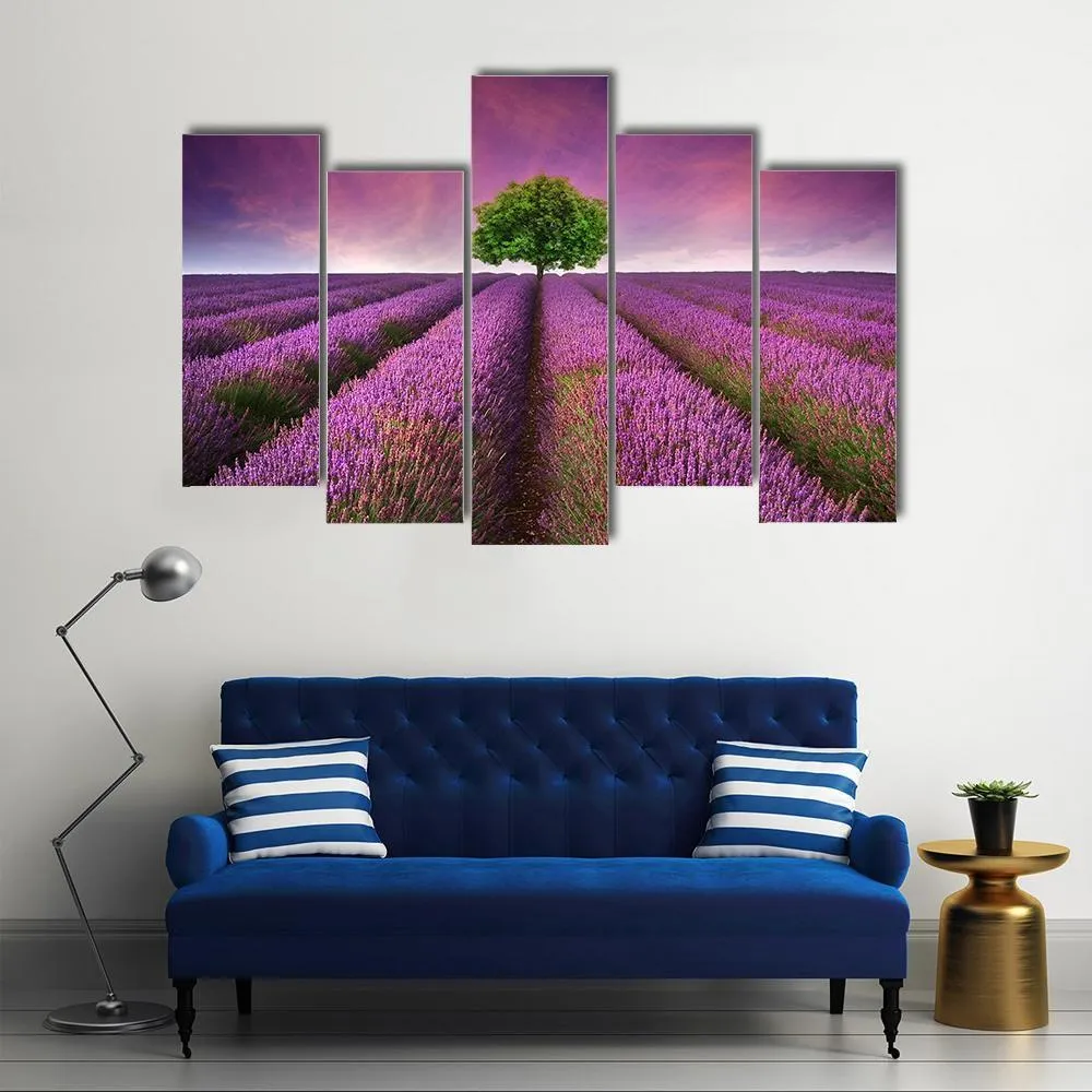 Lavender Field In Summer Canvas Wall Art