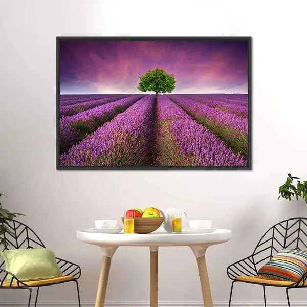Lavender Field In Summer Canvas Wall Art
