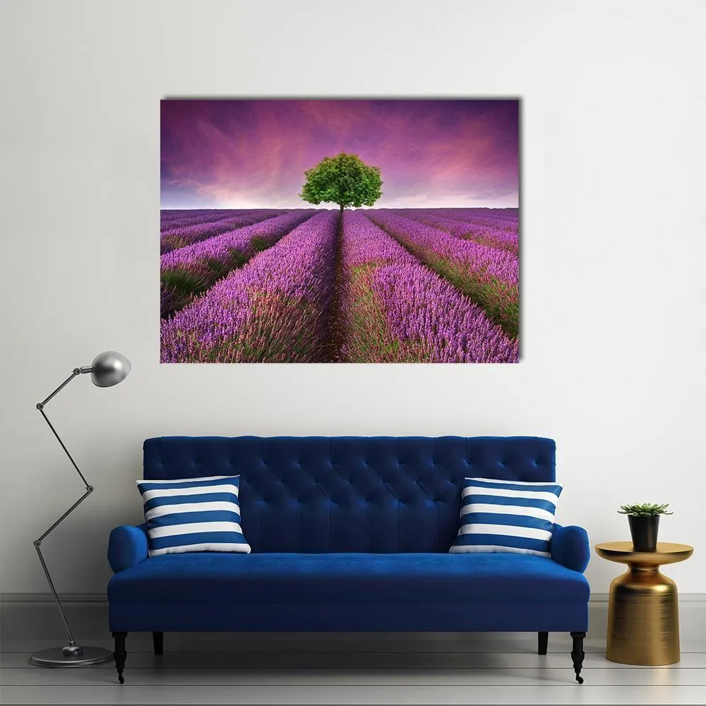 Lavender Field In Summer Canvas Wall Art
