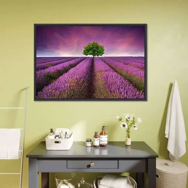 Lavender Field In Summer Canvas Wall Art