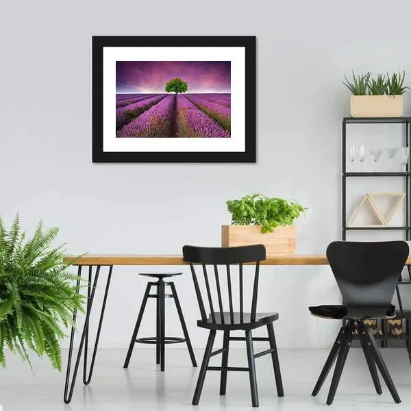 Lavender Field In Summer Canvas Wall Art