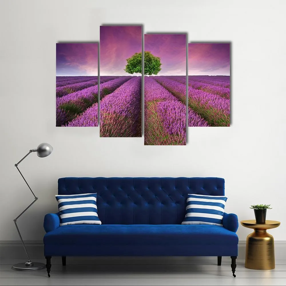 Lavender Field In Summer Canvas Wall Art
