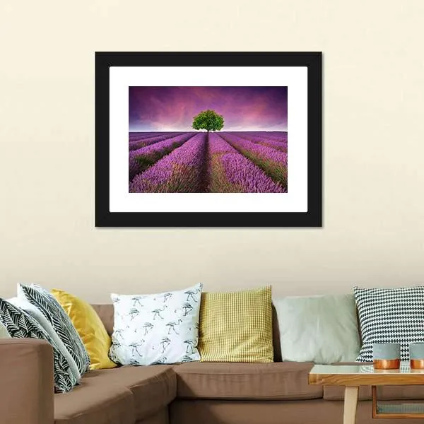 Lavender Field In Summer Canvas Wall Art