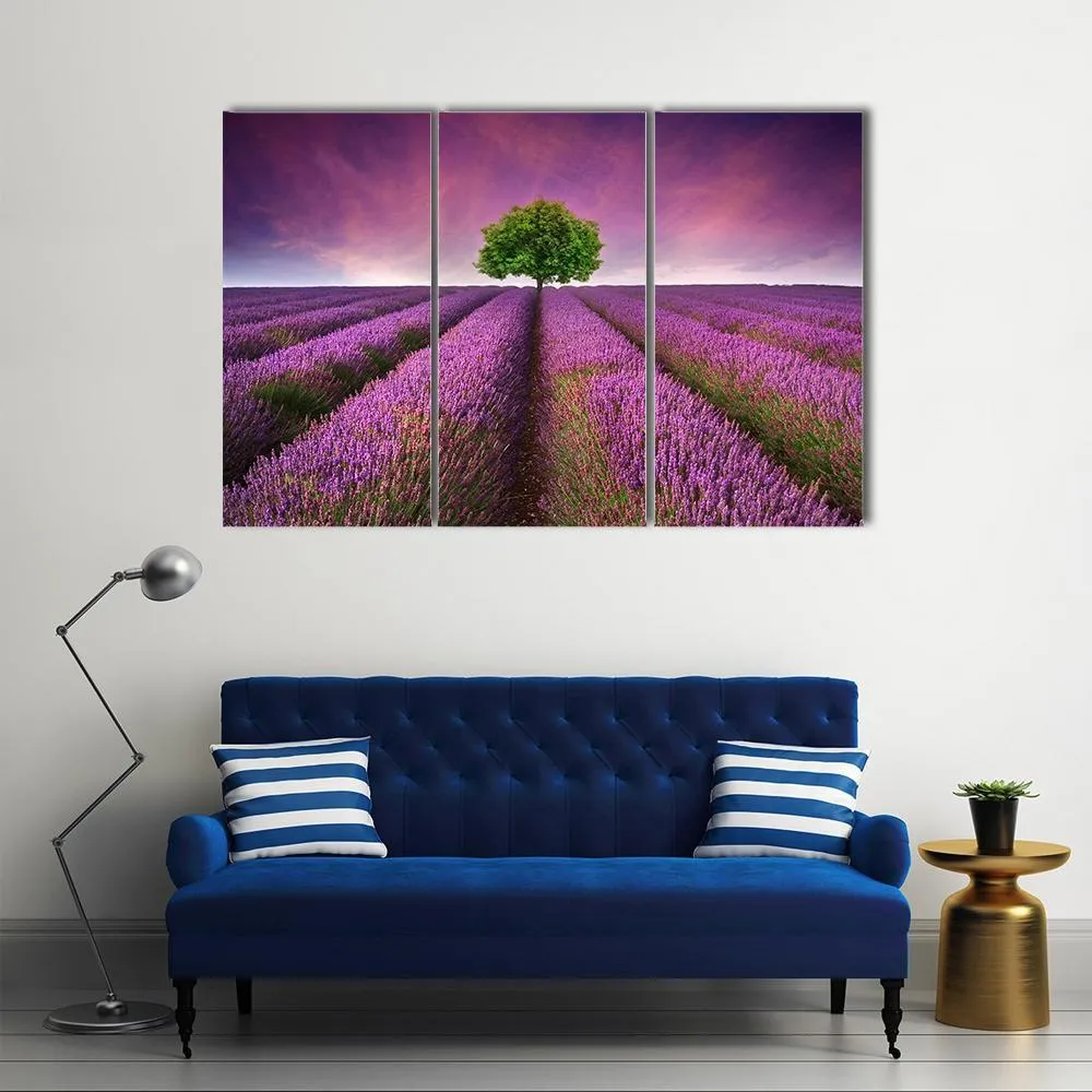Lavender Field In Summer Canvas Wall Art